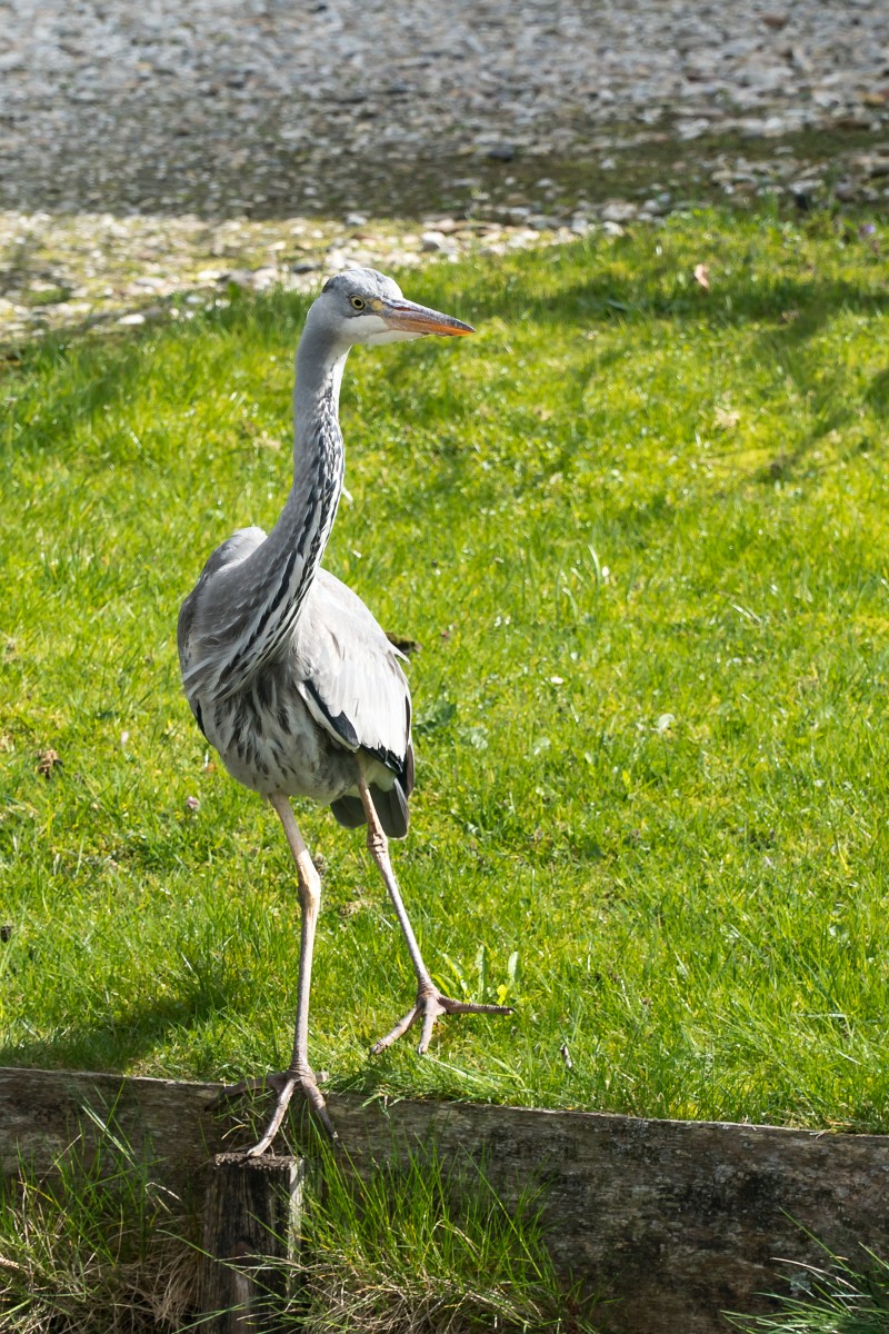 foto: [20180416PV0384]